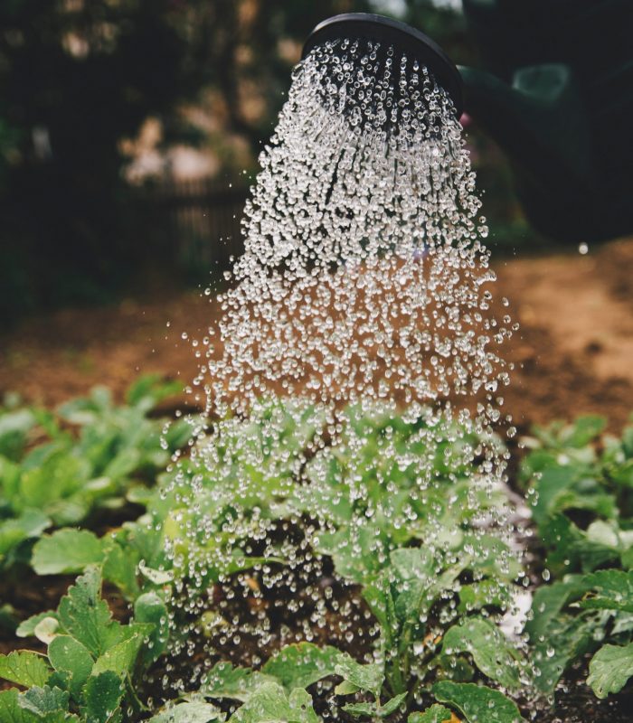 markus-spiske-sFydXGrt5OA-unsplash